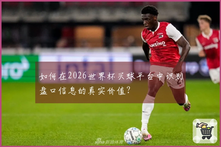 如何在2026世界杯买球平台中识别盘口信息的真实价值？